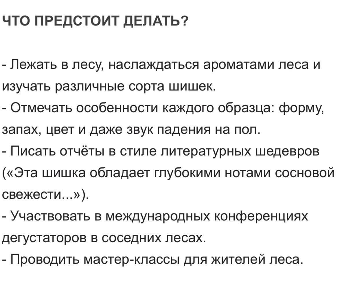 Сибирская сеть магазинов натуральных продуктов ищет дегустатора шишек с зарплатой от 300 тысяч рублей. Кандидат будет ежедневно пробовать новые виды шишек, отличать оригиналы от подделок и составлять отчёты о вкусе. В дополнение — бесплатные экскурсии. Новости без Политоты