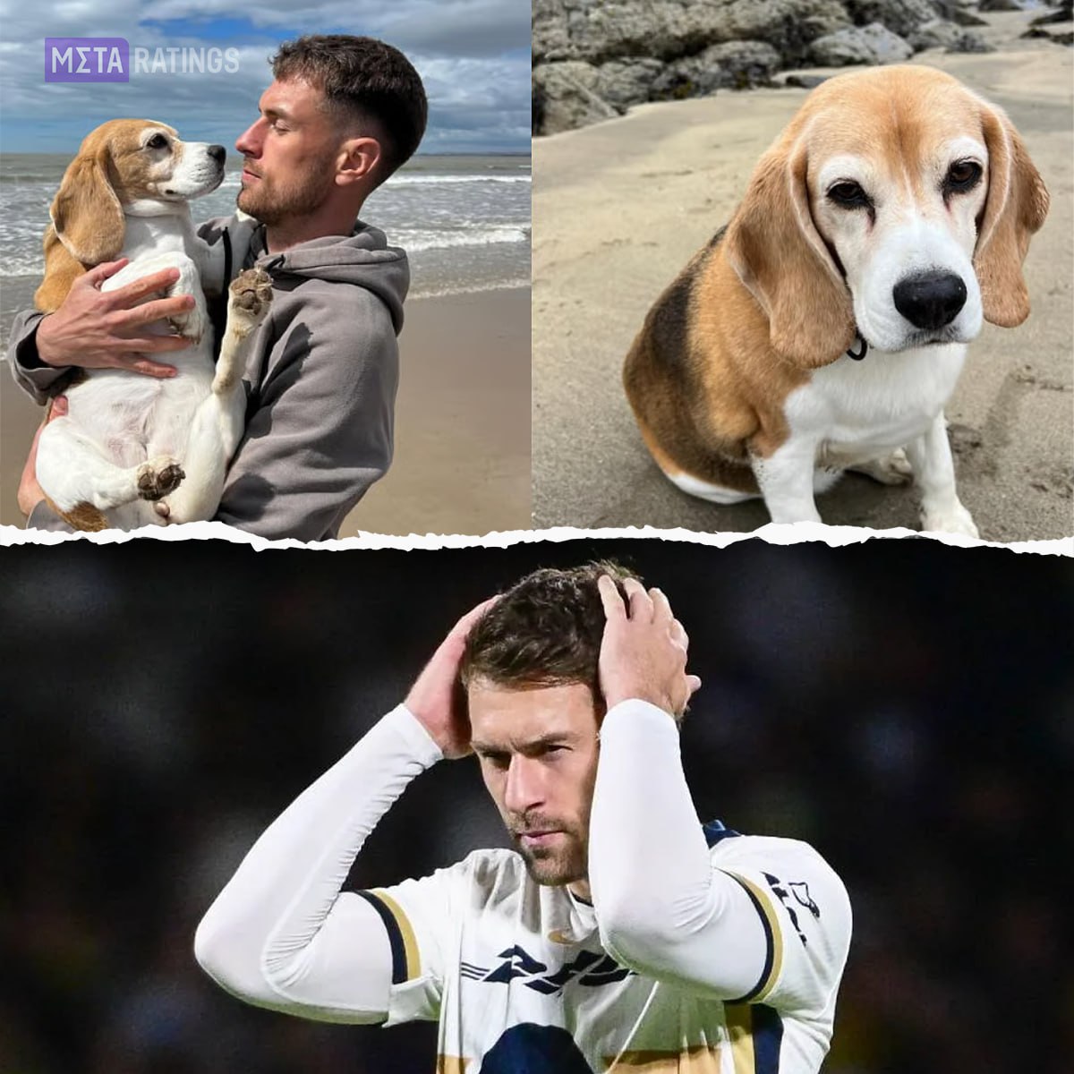 Аарон Рэмзи переживает тяжёлое время в начале октября у него пропала собака по кличке Хало Семья оставила питомца в отеле для животных но оттуда он таинственно исчез С тех пор они не прекращали поиски полузащитник был готов платить десятки тысяч долларов чтобы узнать хоть что то о своей собаке Аарон не просто загрустил а именно страдал из за пропажи Хало Именно эта история стала причиной по которой Аарон решил покинуть мексиканский клуб Пумас Потеря друга настолько потрясла его что он расторг контракт с клубом Подробнее об этой истории рассказали здесь clck ru 3Q76Ck Очень хочется верить что когда нибудь Рэмзи снова встретит своего верного Хало Metaratings