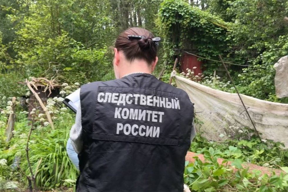 В Пскове дачница погибла из-за упавшего дерева  Следком Псковской области проводит проверку. Как выяснилось, дерево росло в городской лесополосе. Оно упало на находившуюся на прилегающем дачном участке 66-летнюю женщину.   От полученных повреждений жительница Пскова скончалась на месте происшествия. Дерево могло упасть и от непогоды.