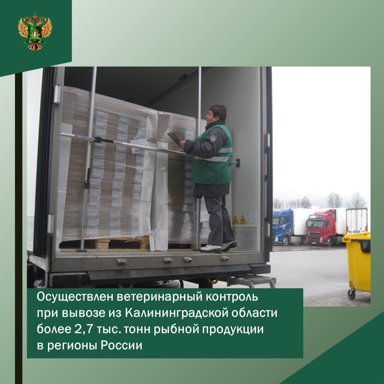 Более 2,7 тыс. тонн рыбной продукции направлено из Калининградской области в регионы России.  Об этом сообщает Россельхознадзор.           В ноябре сотрудниками Управления проконтролировано 2762 тонн рыбной продукции, направляемой из Калининградской области в 20 регионов России.  Рыбы мороженой  салака, окунь, лещ, килька, густера, камбала, плотва, рыбец, судак, чехонь, треска  общим весом 1,5 тыс. тонн направлено основным получателям — в Санкт-Петербург и Московскую область.  Также небольшие партии направлялись в Ленинградскую, Ростовскую, Рязанскую, Астраханскую области и др.    Также направлено 1,2 тыс. тонн морепродуктов. Основными получателями стали Московская и Ленинградская области, небольшие партии морепродуктов и направлялись Новгородскую, Смоленскую, Орловскую области.  «После проведения пограничного ветеринарного контроля  проверка документов и досмотр транспортного средства с грузом  все партии продукции направлены в адреса грузополучателей».  Фото: Россельхознадзор региона