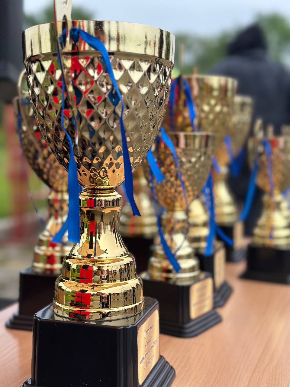 В столице наградили победителей Чемпионата по скоростному маневрированию Соревнования проходили в спорткомплексе «Шериф». Участвовали 9 автомобилистов, 4 автоледи и 3 мотоциклиста. Победителями стали: Иван Плешко – «Лучший автомобилист» Наталья Саакян – «Лучшая автоледи» Иван Полищенко – «Лучший мотоциклист» Они будут представлять команду Тирасполя на республиканском чемпионате Фото Новости Приднестровья