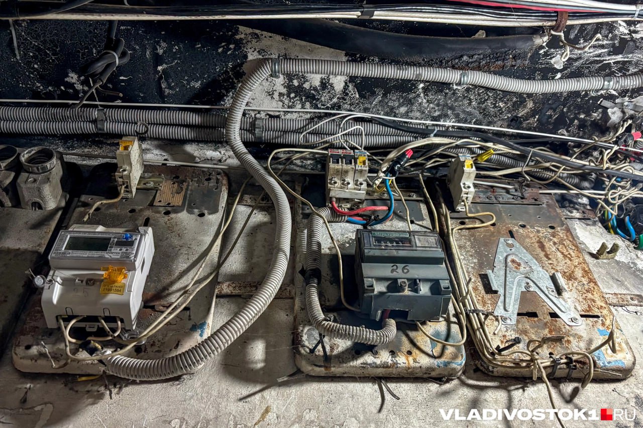 В Приморье с декабря 2025 года по январь 2026 года стало больше работы для электриков Количество вакансий для них увеличилось в 2 4 раза Аналитики изучили какие электрики нужны Большинство вакансий для специалистов среднего уровня Они нужны и в промышленности и в строительстве Больше всего вакансий 17 для электриков 4 разряда В среднем они зарабатывают 72 080 рублей в месяц На втором месте 14 электрики 5 разряда они получают 74 978 рублей На третьем месте 13 электрики 3 разряда их зарплата 75 954 рубля Эти электрики могут делать разные работы монтировать налаживать и чинить электрические системы Люди стали чаще обращаться за помощью чтобы починить электросеть Причина зима темнеет раньше люди включают обогреватели и из за этого нагрузка на сеть растет Из за этого происходят аварии Больше всего люди хотят заменить розетки на 27 и установить подрозетники на 24 Также растет интерес к новым технологиям Люди чаще хотят установить охранные сигнализации на 24 системы защиты от молний на 18 и зарядные станции для электромобилей на 17 Подписаться в Telegram    Подписаться в MAX