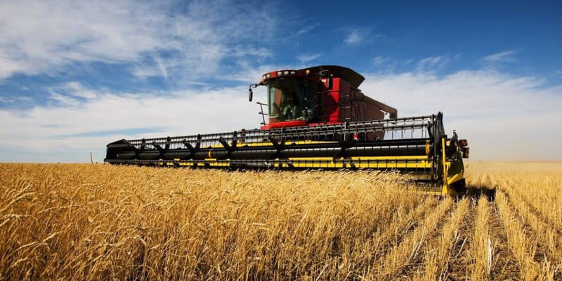 Экспортный потенциал зерновых в России на 2026 год оценивается в 55 млн тонн исходя из текущих объемов урожая Об этом рассказала министр сельского хозяйства РФ Оксана Лут на World Grain and Pulses Forum в Дубае В завершившемся году Россия продала за рубеж 41 млн тонн пшеницы в связи с чем сохранила первое место по экспорту пшеницы в мире По данным Минсельхоза география экспорта остается устойчивой последние 10 лет зерно поставляется в 115 стран Около 78 экспорта пшеницы приходится на государства Африки и Ближнего Востока Одновременно Россия перестраивает модель присутствия на мировом аграрном рынке Наша страна делает ставку не только на экспорт зерна и масложировой продукции но и на совместное развитие технологий повышение урожайности и устойчивости сельского хозяйства в разных регионах мира Как подчеркнула Оксана Лут конечная цель этой политики обеспечение мировой продовольственной безопасности и места России в этой мировой продовольственной безопасности Топ Бизнес Подписаться в MAX