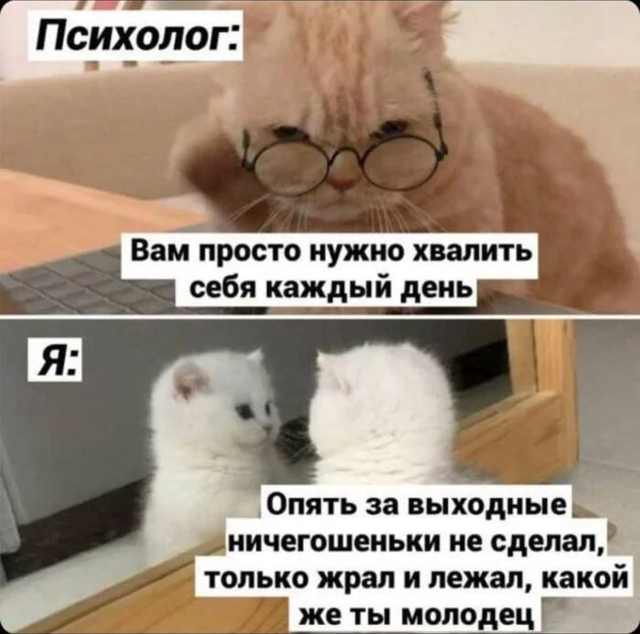 В сентябре на бульваре Ак Чәчәкләр и в парке Черное озеро пройдут бесплатные встречи с психологами от клиники и института Инсайт В программе разговоры о прокрастинации значении близкого окружения феномене сопротивления в психотерапии и влиянии воспоминаний из прошлого на настоящее Расписание есть в новости entermedia io news raspisanie vstrechi s psihologami v parkah kazani v sentyabre
