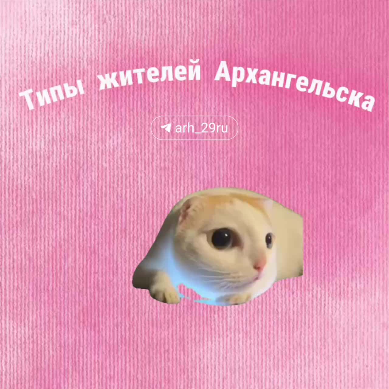 Продление отключения горячей воды в Архангельске до 8 июня из-за дефектов коммуникаций