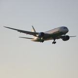 Tashkent_Spotter