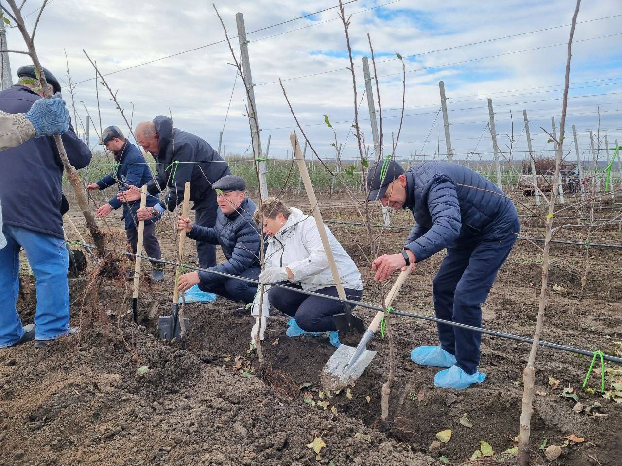 На Ставрополье облачно, возможны осадки в виде... яблок!   В крае ожидается прирост урожая яблок к 2030 году. Губернатор Владимир Владимиров отметил, что у региона большие планы в этом направлении — войти в тройку производителей плодов.   Сейчас в Новоалександровском округе активно развивается суперинтенсивный сад. Яблонями засадили уже 19,5 гектара, идет вторая закладка на площади 21 гектар.   В саду появятся яблоки сортов:  Гала Шнига    Пирос    Голден    Кримсон Крисп  А какой сорт яблок любите вы?