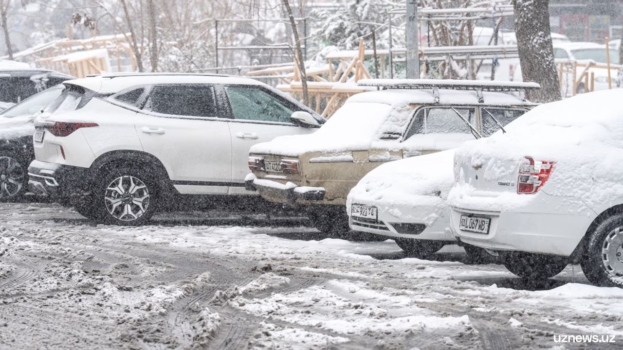 С февраля в Узбекистане вступает в силу запрет на эксплуатацию автомобилей старше 50 лет Автомобили возрастом более 50 лет снимут с госучета а спецтранспорт маршрутные такси без направления и антикварные машины получат отдельные регистрационные серии   uznews uz ru news 106668 uznews