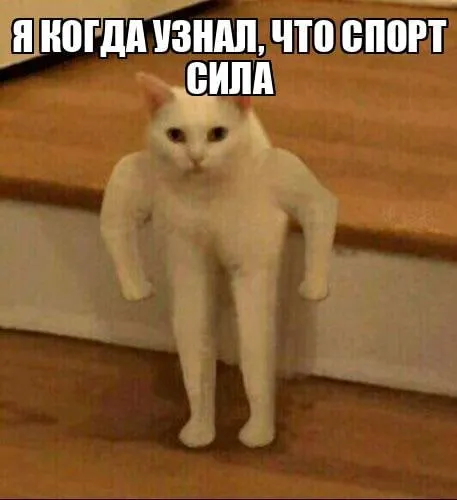 Камчатка лучший спортивный регион России В правительстве региона сообщили что край получил такое звание по итогам ежегодной премии SPORT FACILITIES которая вручается с 2014 года и читается одной из ключевых в сфере спортивной инфраструктуры Жюри оценивало насколько активно жители занимаются спортом как развивается инфраструктура и насколько эффективно используются вложения Также учитывались техническое оснащение объектов и работа с внебюджетными источниками финансирования TG замедляют Видосы и оперативные новости смотри в нашем MAX