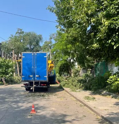 В Ростове продолжают убирать упавшее дерево на Ульяновской. Бригада рабочих ликвидирует последствия почти сутки. Огромный столб дерева свалился на машины в районе дома № 25. Дерево придавило две легковушки 4 июня около 17:00. У припаркованных авто оказались разбиты лобовое стекло, помяты крыша и бампер. К счастью, обошлось без пострадавших. Сейчас команда рабочих продолжает ликвидировать последствия. Они пилят гигантский ствол и собирают ветки. Из-за этого движение затруднено.