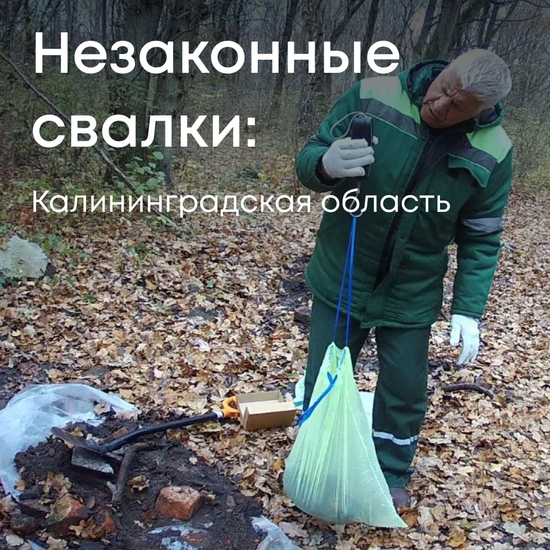 В Службу поступило обращение от жителей города Балтийска  Калининградская область  о незаконной свалке строительных отходов.   Специалисты обследовали указанную территорию: на двух участках, находящихся в муниципальной собственности, общей площадью более 700 м² размещено около 500 тонн строительных отходов IV и V класса опасности — бетона, кирпича, рубероида и других материалов.   Размещение отходов на необорудованных участках привело к загрязнению и ухудшению состояния почвы. Росприроднадзор направил администрации Балтийского округа претензию о возмещении вреда почвам на сумму более 8 млн рублей. Также администрация должна провести рекультивацию нарушенных земель.  В случае отказа сумма ущерба будет взыскана в судебном порядке.