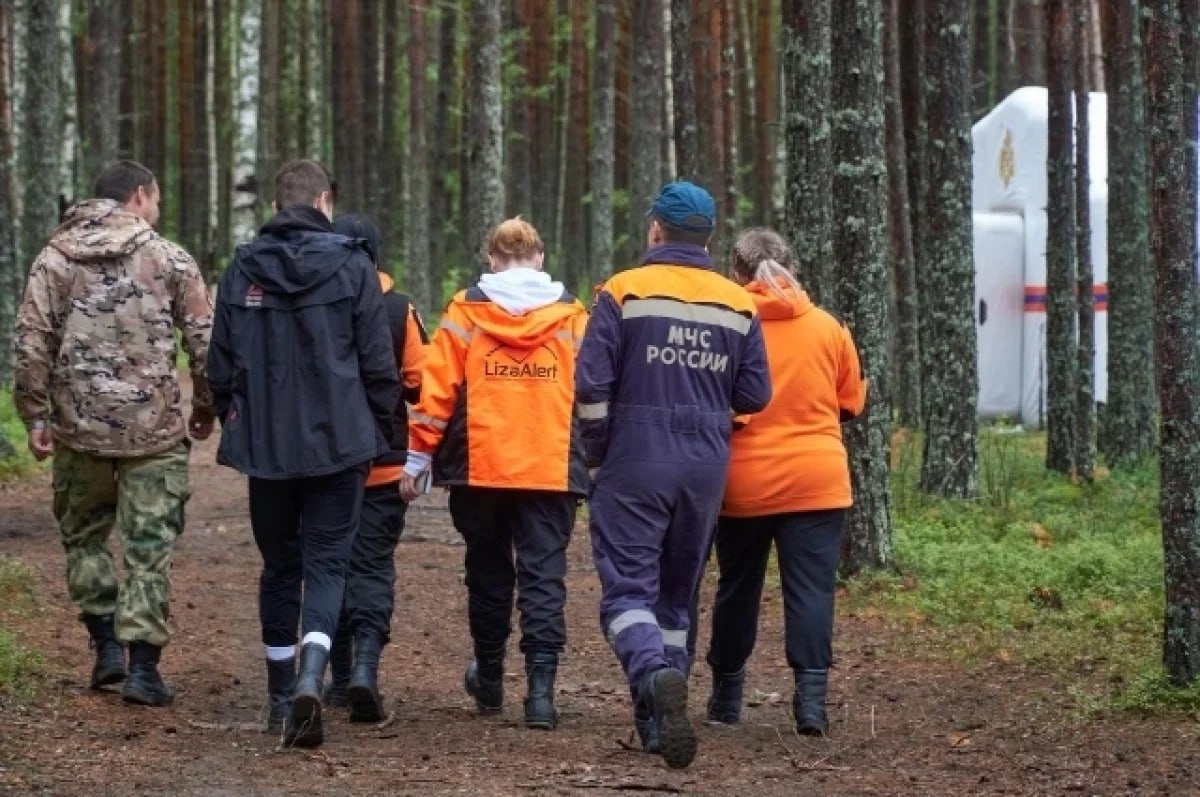 Подразделение поисково спасательного отряда ЛизаАлерт появится в Хабаровске В ближайшее время в Хабаровске и на Камчатке появятся представительства добровольческого поисково спасательного отряда ЛизаАлерт Об этом сообщили представители организации Они также подчеркнули на Дальнем Востоке трудно работать из за большой территории и нехватки добровольцев Действительно очень сложный и большой регион Людей гораздо меньше чем в центральных регионах и добровольцев соответственно меньше и у добровольчества здесь большие сложности по ресурсам людским прежде всего Сложный ландшафт есть абсолютно все море много воды сложная гористая местность большие пространства которые сложно закрывать пешими группами отметила федеральный инструктор школы ЛизаАлерт эксперт межрегиональных форумов по детской безопасности Нина Маньковская Источник ТАСС Будь в курсе событий везде ОК VK MAX
