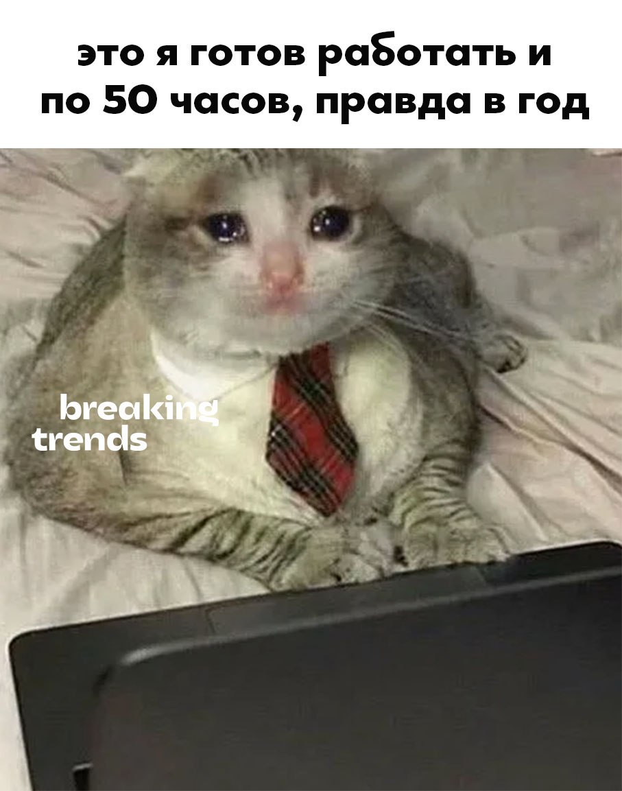 World Population Review выкатил анализ того сколько времени люди проводят на работе в разных странах Резюмируем   В среднем по миру в 2025 году работают 38 7 часа в неделю   Разница между странами с переработками и странами с work life balance составляет более 25 часов   Больше всего работают в Бутане 54 5 часа в неделю меньше всего в Йемене 25 9 часа Также всё отлично в Нидерландах по 26 8 часа в неделю в Норвегии 27 1 в Австрии 28 4 а в Дании 28 8 В России средняя продолжительность рабочей недели 38 2 часа у женщин 37 2 у мужчин 39 2 Нам бы работать как в Йемене но чтобы платили как в Эмиратах   Breaking Trends