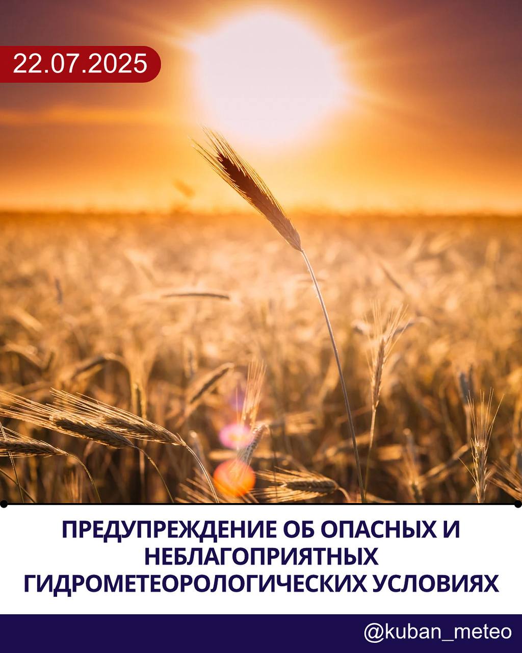 На Кубани — высокая и чрезвычайная пожароопасность, а также продолжается почвенная засуха. Просим соблюдать меры предосторожности и не разводить открытый огонь. ШТОРМОВОЕ ПРЕДУПРЕЖДЕНИЕ ⏱ До конца суток 22 июля и в течение суток 23 июля 2025 года: • В северо-восточных, северо-западных, юго-восточных, юго-западных и центральных районах края, включая МО г. Краснодар, ожидается чрезвычайная пожароопасность 5 класса ОЯ . • В юго-западных, центральных, юго-восточных, северо-западных районах и на Черноморском побережье кроме г. Сочи прогнозируется высокая пожароопасность 4 класса НЯ . Кроме того, сохраняется почвенная засуха ОЯ под пропашными культурами в хозяйствах: Ейского, Щербиновского, Кущевского, Ленинградского, Крыловского, Брюховецкого и Белоглинского районов. Будьте внимательны, берегите природу и своё здоровье. С заботой, Краснодарский ЦГМС