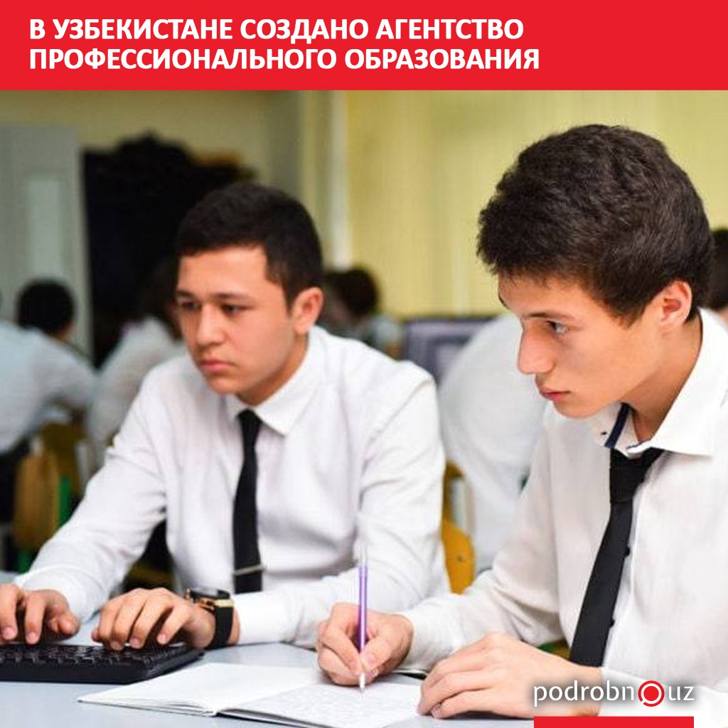 При Министерстве высшего образования науки и инноваций создано Агентство профессионального образования В регионах появятся деловые советы   podrobno uz cat obchestvo v uzbekistane sozdano agentstvo professionalnogo obrazovaniya Telegram Instagram Facebook Читать на узбекском