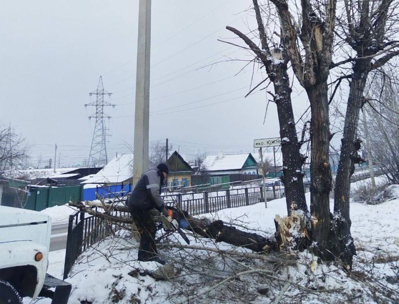 В Улан-Удэ автомобиль снес тополь  На улице Бограда в Улан-Удэ автомобиль врезался в тополя, растущие вдоль дороги. Как сообщили в МБУ «Городское лесничество», в результате наезда было повреждено основание деревьев, а один из стволов полностью разрушен. Бросив на месте происшествия отвалившийся бампер, водитель скрылся. #Бурятия  Подробности в «Номер один»       Сообщить нам свою новость можно по кнопке:       Письмо в редакцию