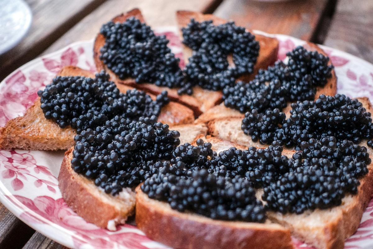 Беларусь вошла в тройку покупателей российской черной икры В прошлом году по предварительной оценке Россия поставила за рубеж икры на 20 млн что на треть больше чем в 2024 м Из этого объема 3 8 млн приходится на черную икру Больше всего ее купил в 2025 году Казахстан у него 27 доли импорта Беларусь с 15 занимает второе место Замыкает топ 3 покупателей российской черной икры Армения 8  Подробнее