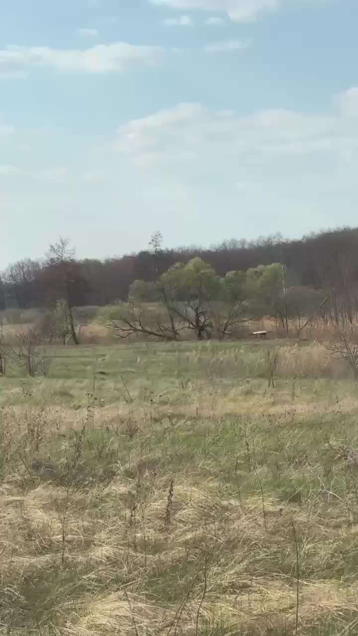 Редкие птицы замечены в заповедниках Нижегородской и Белгородской областей