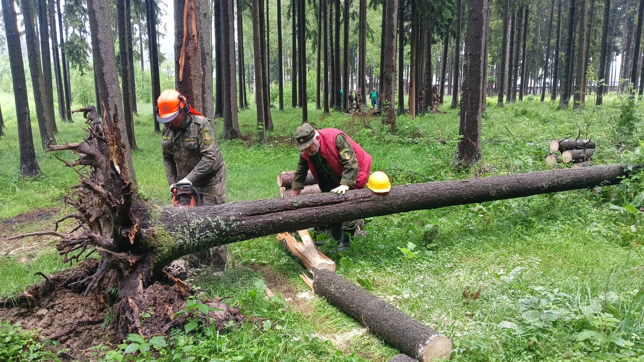 На территории Сергиево-Посадского лесничества вблизи водоёма «Макаркин пруд» состоялся субботник. Участок леса для проведения акции определили жители города Пересвет. Перед началом мероприятия все присутствующие прошли инструктаж по технике безопасности при работах по уборке неликвидной древесины. В субботнике приняли участие более 50 человек – сотрудники лесничества, представители администрации городского округа, общественных организаций, депутаты, местные жители. «Всего было собрано почти 25 кубометров валежника на площади один гектар», – подвел итоги акции заместитель директора Сергиево-Посадского филиала ГАУ МО «Мособллес» – лесничего Виталий Мягков.