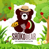 Аватар Телеграм канала: Shokobear (Олег Зайцев о банкротстве)
