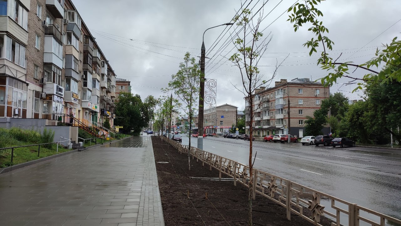 Ясеней на улице Ленина в центре Ижевска стало меньше. Ясеней на улице Ленина в центре Ижевска, высаженных прошлой осенью, теперь 22, а не 33. Это увидел 21 июня корреспондент Udm-info. Напомним, в октябре прошлого года на Ленина высадили 33 ясеня, купленных в питомнике в Татарстане. Ясени должны были заменить вырубленные при реконструкции улицы Ленина старые тополя. Правда, сначала власти обещали посадить 60 деревьев, но после укладки широкоформатной плитки для них осталось слишком мало места, и высадили только 33. Остальное обещали возместить декоративными ивами в кадках по 40 тысяч рублей за каждую, кустарниками и цветами. И вот теперь и без того немногочисленные деревья начали исчезать. Ошибся ли наш корреспондент при подсчете? Или эти ясени-крупномеры не прижились и погибли? Или деревья пересадили с Ленина на другую улицу, как это сделали на Советской? Или они были похищены неизвестными злодеями, как на Аллее Счастья? Ответов на эти вопросы у нас пока нет. Ждем их от администрации города. -info