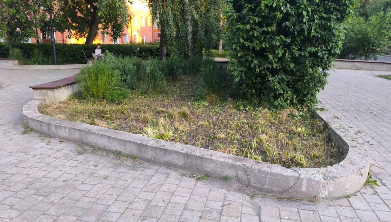Рабочие скосили цветник в «Саду ветра» на улице Усова, перепутав его с газоном. При выдаче задания работнику мастер подрядной организации не учел этот цветник, приняв его за газон. В качестве извинения пообещали высадить многолетние растения.