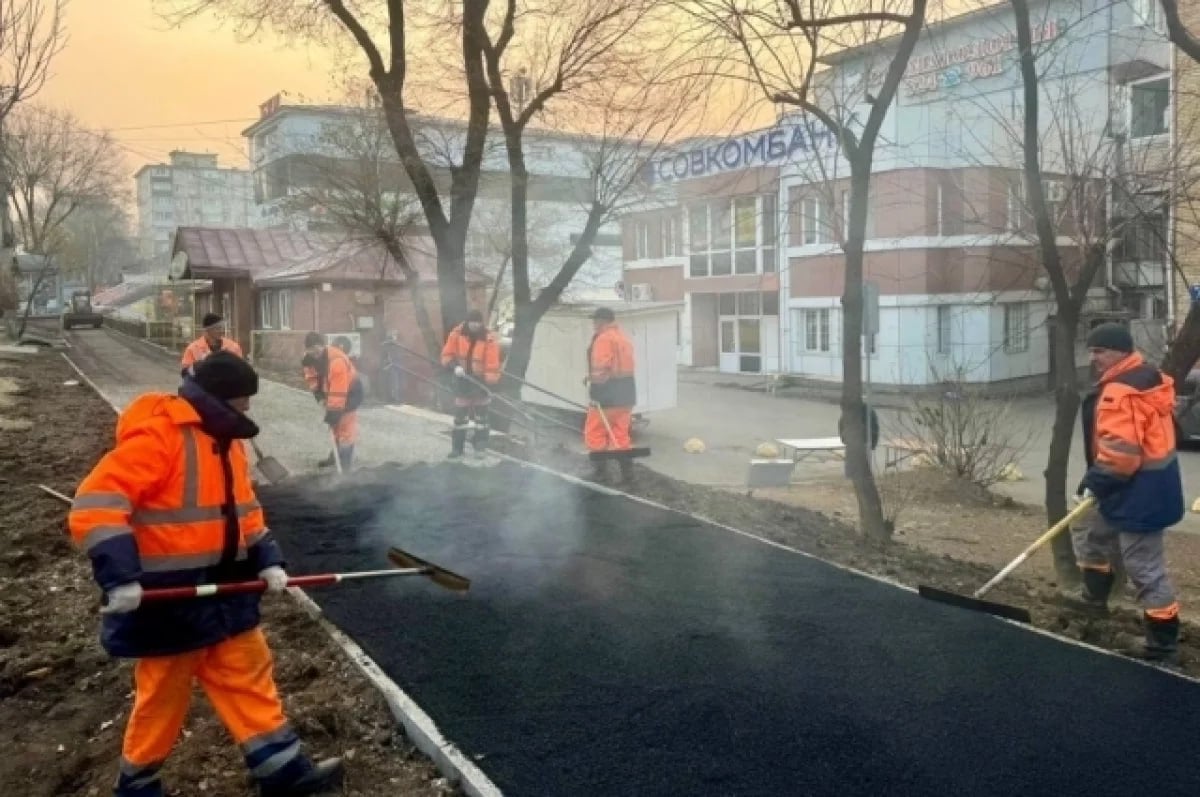 Во Владивостоке стартовали аукционы на ремонт дорог после зимы      Управление дорог города объявило 5 электронных аукционов на восстановление асфальта после зимних повреждений. Стартовая цена каждого контракта — почти 25 млн рублей. Заявки от подрядчиков принимают до среды, 5 марта  .    Основной ремонт затронет:     участки на магистралях и маршрутах общественного транспорта;     тротуары и проезжую часть возле домов на улицах Зои Космодемьянской, Шошина, Кирова, 1-й Морской;     проспект 100-летия Владивостока, а также улицы Ёлочная, Черёмуховая, Уссурийская.    По нацпроекту «Инфраструктура для жизни» в 2025 году обновят:     перекрёсток Новороссийская – Басаргина;     дорогу к кёрлинг-центру  ;     участок Анны Щетининой и улицу Адмирала Горшкова.    По данным пресс-службы мэрии, подрядчиков закрепят за каждым районом.    #Владивосток #ДорожныйРемонт #Аукционы #Инфраструктура #Новости2025  Подробнее