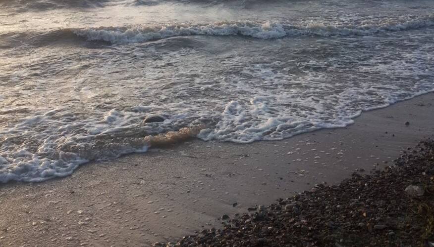 С 18 июля в Азовском море объявили о начале заморного периода С 18 июля в Азовском море, включая Таганрогский залив, Керченский пролив, а также Таманский и Динской заливы, объявлен заморный период. Это решение принято по рекомендации учёных Азово-Черноморского филиала ВНИРО, которые на основе мониторинга состояния среды и данных гидрометцентра рекомендовали Азово-Черноморскому территориальному управлению Федерального агентства по рыболовству ввести ограничения. Приказом управления разрешён вылов бычков в определённых районах Азовского моря с использованием установленных Правилами рыболовства орудий добычи, чтобы предотвратить их непроизводительную гибель. Специалисты ВНИРО продолжают наблюдение за метео- и гидрологическими условиями, а также уровнем кислорода в донных слоях воды для определения срока окончания заморного периода.