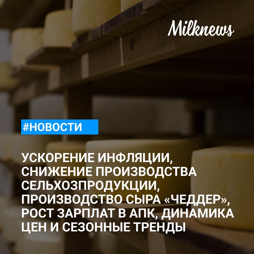 Инфляция в РФ с 24 по 30 сентября ускорилась до 0,19%    Сельхозпроизводство в РФ в январе - августе снизилось на 3,2%    Смоленский завод «Гагаринконсервмолоко» будет производить 200 тонн сыра «Чеддер» в месяц    «Авито Работа»: средние зарплаты в АПК превысили 80 тысяч рублей    Минсельхоз отметил соответствие цен на агрорынке сезонным трендам