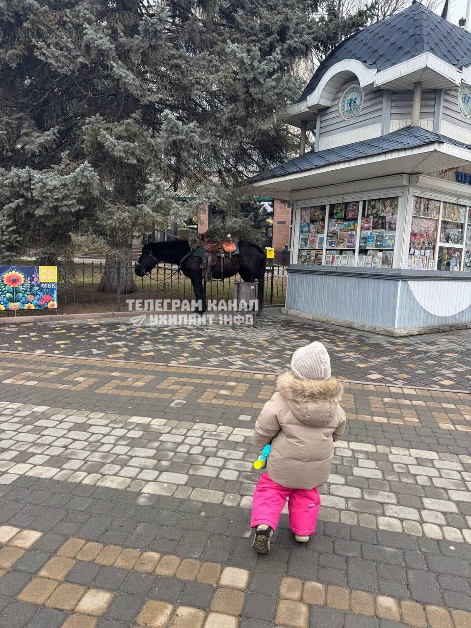 В Каменце-Подольском, Хмельницкой области, мужчину на коне принудительно доставили в ТЦК.  По сообщениям в сети, задержанный — бывший военный и отец пятерых детей. А вот что делать с его лошадью — вопрос остается открытым.  Представитель полиции отреагировал на ситуацию фразой: “Вызовайте кого хотите. Лошадь вас не съест.”