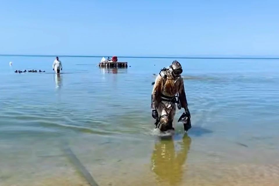 Курортный сезон - в разгаре, но пляжи в Анапе - закрыты. Узнали, откроют ли их в 2025-м С момента ЧП в Керченском проливе прошло больше 7 месяцев. Песок в Анапе визуально чистый, технику и волонтёров не видно — но купаться всё ещё нельзя. Роспотребнадзор заявил: санитарные показатели воды и песка не соответствуют нормам, улучшений нет. Когда разрешат купаться — никто не берётся прогнозировать. Туристов — в четыре раза меньше, чем год назад: около 24 тысяч против 100 тысяч в июле 2024-го. Средняя загрузка гостиниц — 30%. Многие отели не открывались вовсе. Власти обещают поддержку: гостиницам возвращают часть затрат за отменённые брони, дают льготные займы и отсрочки по налогам. Владелец пансионата может получить до 15 миллионов. Тем временем продолжается механизированная очистка пляжей: технику перебросили в Витязево, водолазы работают в Джемете. Уже просеяли 55 из 102 гектаров. Но этого мало, чтобы открыть сезон.