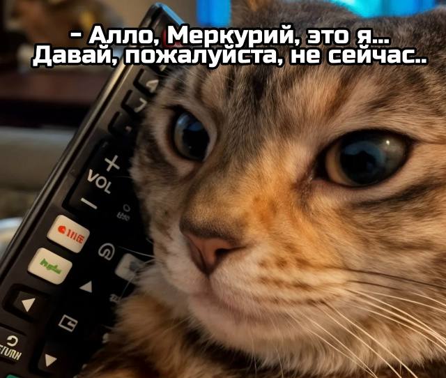 Сегодня начался ретроградный Меркурий он продлится до 29 ноября Астрологи советуют быть осторожными с правовыми вопросами и документацией могут быть трудности с коммуникацией