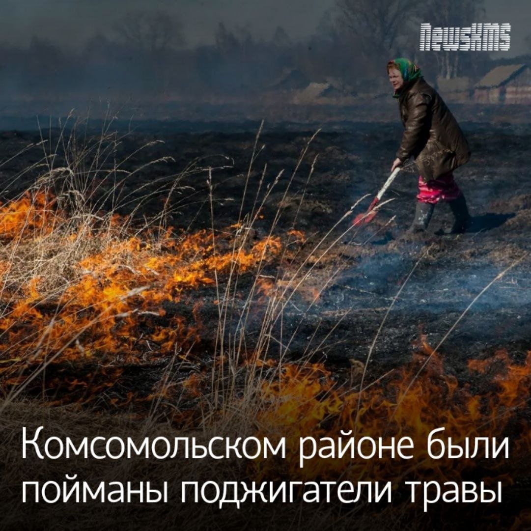 Во время проверки пожарного надзора в этих районах были выявлены и оштрафованы граждане, нарушившие правила пожарной безопасности. Они стали причиной возникновения и распространения ландшафтных пожаров. Выяснилось, что в двух случаях поджигателями были подростки. Например, 13 апреля в поселке Молодежный несовершеннолетний устроил поджог травы, из-за чего начался ландшафтный пожар на площади более трех квадратных километров. На его тушение были задействованы силы и средства противопожарной службы Хабаровского края, затраты на это превысили 33 тысячи рублей. Прокуратура Комсомольского района подала в суд на законного представителя несовершеннолетнего с целью возмещения расходов на тушение пожара. Прокуроры городов Комсомольск-на-Амуре и Солнечный также подали аналогичные иски о взыскании с граждан расходов на тушение пожаров на общую сумму более 45 000 рублей.