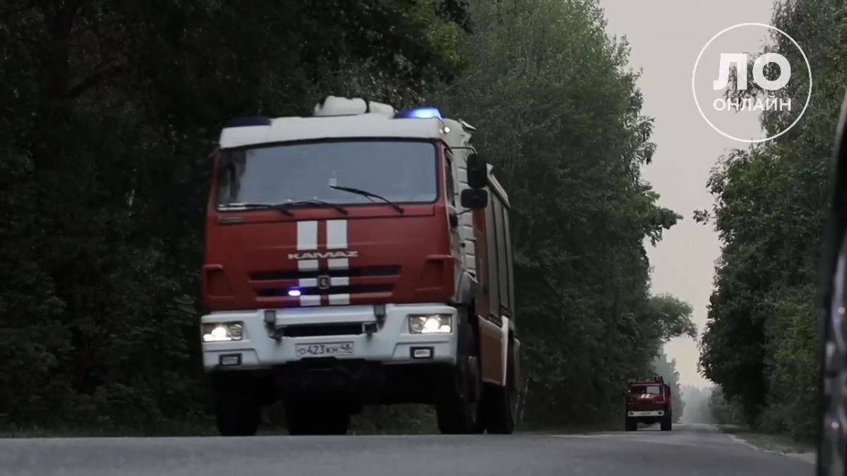 Подкрепление прибыло: еще 40 липецких пожарных прибыло на тушение заповедника В Усманский район для борьбы с масштабным пожаром в Воронежском биосферном заповеднике прибыло дополнительное подкрепление. ↗ Прислать новость Подписаться