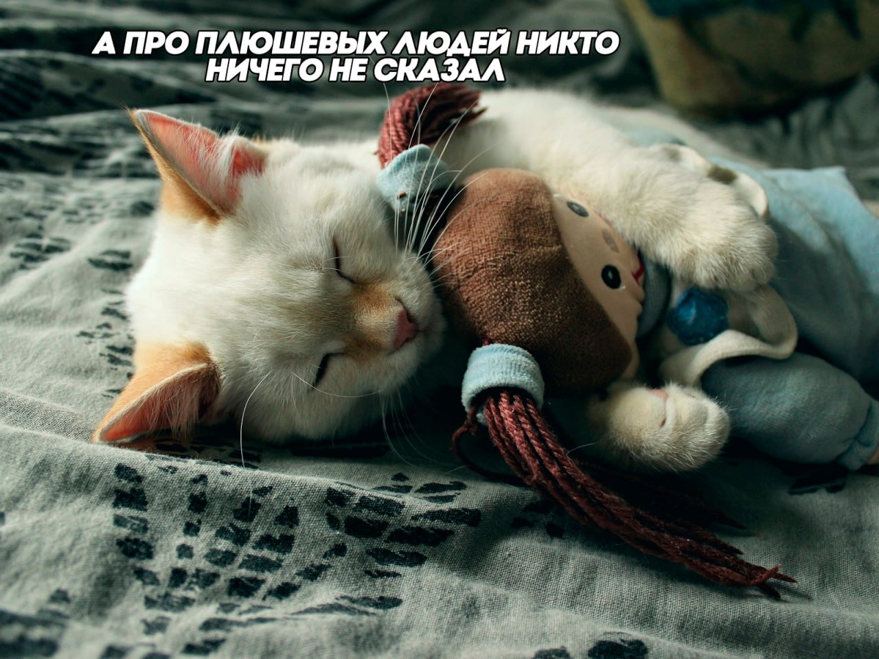Плюшевые риски: почему спать с игрушками может быть вредно? В ткани мягких игрушек часто содержатся формальдегид и антипирены — вещества, которые делают материал устойчивым к смятию, грязи и огню. Проблема в том, что эти компоненты могут вызывать раздражение кожи и слизистых, а у детей — провоцировать аллергию и проблемы с дыханием. Скинь своей девушке, которая не может представить сна без своей плюшевой братвы.