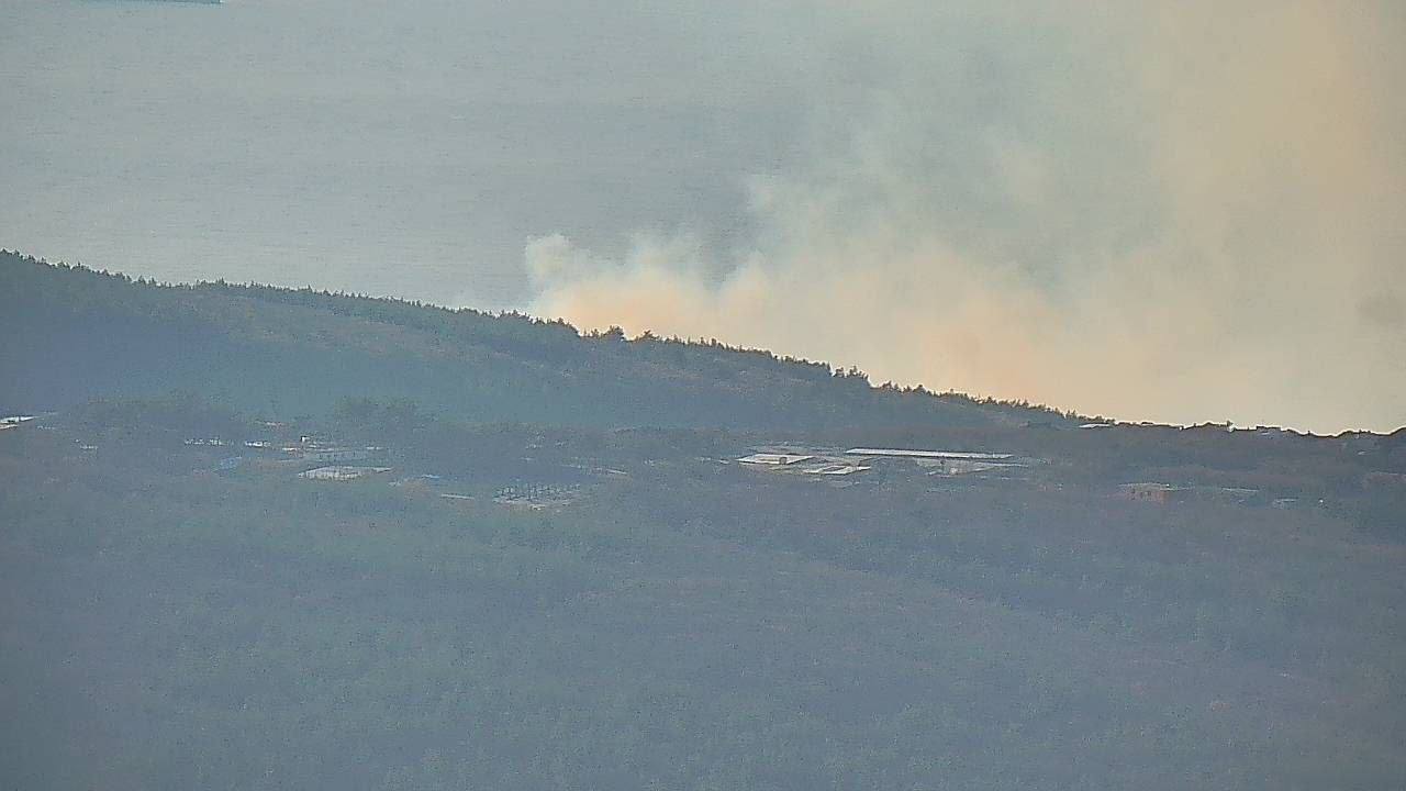 ЛЕСНОЕ ВОЗГОРАНИЕ В РАЙОНЕ СНТ СОСНОВКА Г К ГЕЛЕНДЖИК Сообщение о задымлении поступило на пульт диспетчерской службы На данный момент огнем пройдено 2 га Лесными формированиями ГБУ КК Краевой лесопожарный центр проводится комплекс мер для скорейшей локализации лесного возгорания