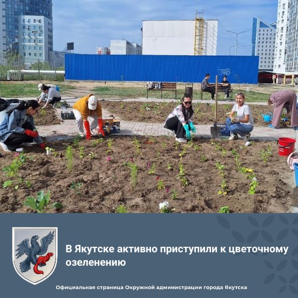 В Якутске активно приступили к цветочному озеленению В Якутске сегодня состоялось ежедневное заседание штаба по санитарной очистке города Якутска. В ходе заседания участники обсудили текущее состояния дел и наметили планы работ по благоустройству. Особое внимание уделили скосу сухой травы и камыша. Согласно отчетам, в округах и пригородах работы по скосу ведутся. Тем не менее управам поручено усилить контроль за своевременностью и качеством выполнения работ. На заседании также подробно рассмотрели вопрос озеленения города. ТОУ отчитались о посадке цветов и кустарников. Участники заседания также обсудили организацию общегородского субботника, приуроченного к Международному дню соседей. АО «Якутдорстрой» согласно установленному графику продолжает ямочный ремонт дорожного покрытия на проблемных участках. Территориальные органы управления подробно осветили результаты работ по санитарной очистке: уборка бытового мусора, ликвидация несанкционированных свалок, вывоз крупногабаритных отходов, уборка урн и остановок общественного транспорта, чистка тротуаров, откачка воды с заниженных мест, грейдирование дорог. Окружная администрация города Якутска призывает жителей Якутска к активному участию в субботнике на придомовых территорий. Совместными усилиями мы можем сделать наш город чище и красивее, помочь создать благоприятные условия для жизни и укрепить добрососедские отношения.