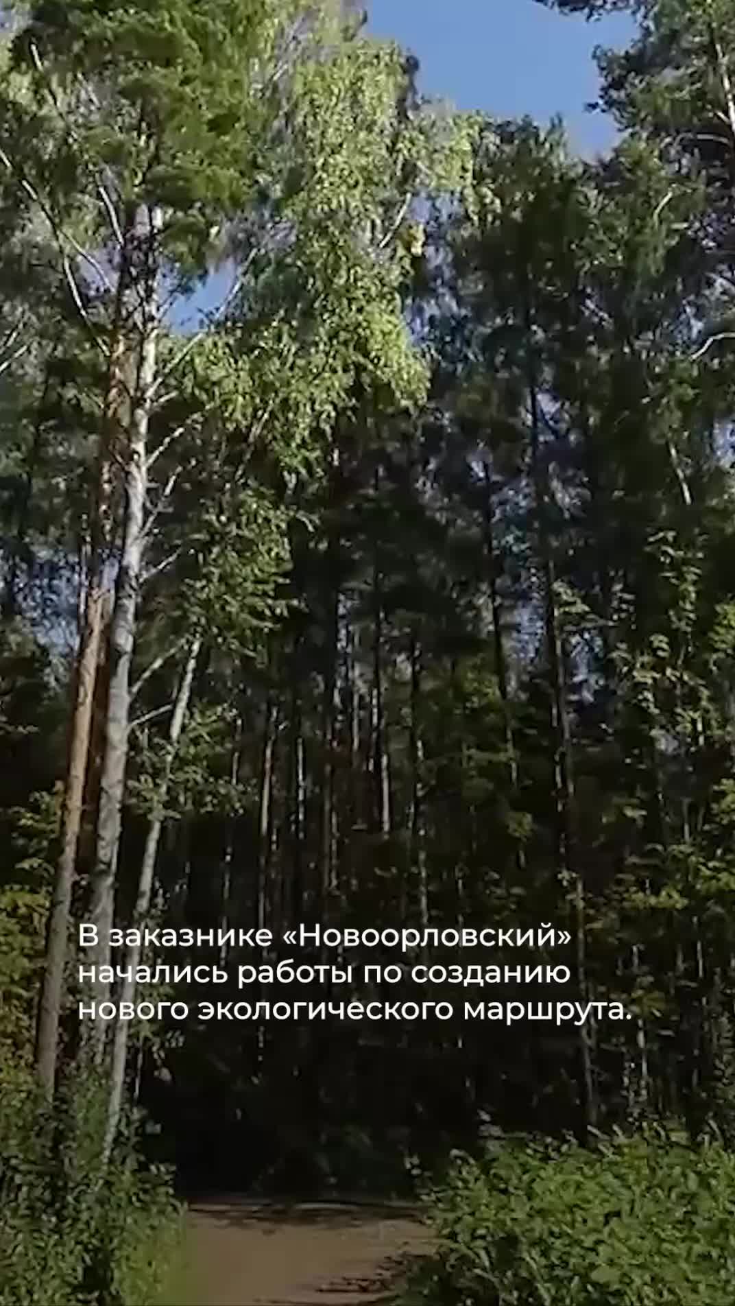 Региональные события недели: новые школы, благоустройство и экологические инициативы