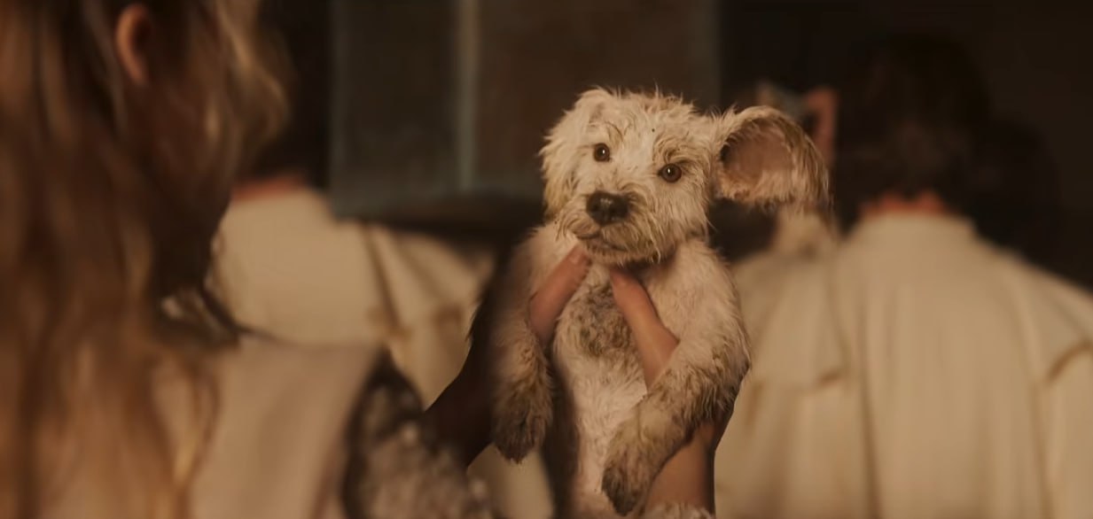 Собрали все рекламные ролики фильмов с прошедшего Супербоула 2026 Во время матча показали тизеры Супергёрл Дня разоблачения Стивена Спилберга и Приключений Клиффа Бута Дэвида Финчера по сценарию Квентина Тарантино   dtf ru cinema 4771853