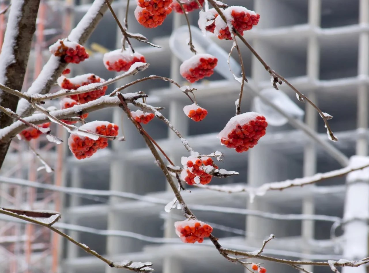 Квартиры в сданных новостройках в крупных городах России от застройщиков сейчас дороже предложений от покупателей инвесторов только на 6 средняя стоимость составила 190 7 тыс руб за кв м За год разрыв сократился на 14 3 из за стремления девелоперов быстрее продать остатки Предложение от застройщиков в приоритете у покупателей благодаря программам рассрочки и стремлению заключить более прозрачные сделки Сложившаяся ситуация может привести к снижению инвестиционного спроса на новостройки Игорь Елисеев Коммерсантъ Ъузнал