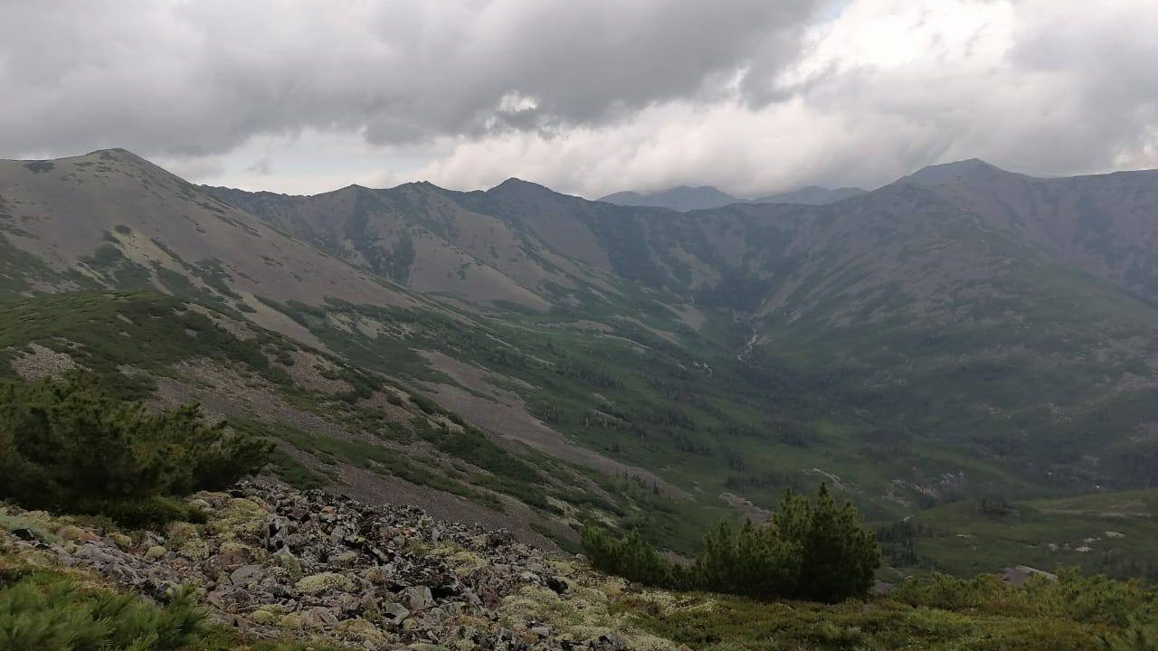 В Хабаровском крае будут добывать звёздный металл Росгео начало поиск вольфрама В рамках федеральной программы Геология возрождение легенды дочернее предприятие Росгео АО Дальневосточное ПГО с 2025 года ведёт поисковые работы на вольфрамовое и комплексное оруденение в Верхнебуреинском районе Хабаровского края Геологам предстоит изучить 71 4 квадратных километров Стланиковой площади Фото Российский геологический холдинг Подробнее на сайте Вести Хабаровск