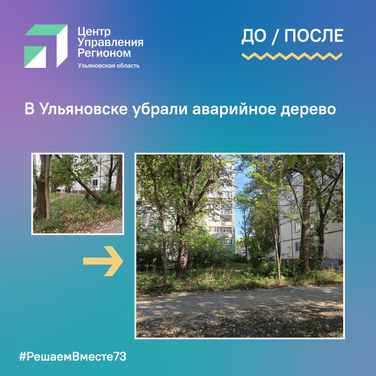 В Ульяновске убрали аварийное дерево    Жители Ульяновска сообщили в соцсетях, что возле дома №174 на улице Радищева упало дерево. Передвигаться во дворе дома было небезопасно  Информацию зафиксировали сотрудники ульяновского Муниципального Центра управления регионом и передали в профильную службу  Специалисты распилили и вывезли дерево   Если вы столкнулись с проблемой, обратитесь на платформу обратной связи «Госуслуги. Решаем вместе»:    #ЦУР73 #РешаемВместе73 #Ульяновскаяобласть #Ульяновск