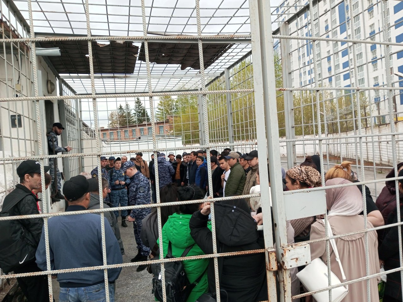 510 незаконных мигрантов выдворили из Новосибирска за этот год. Пока рекорд — 53 нарушителя за день. — У них не было документов, подтверждающих право на пребывание проживание в стране. У одного — зафиксировано повторное административное правонарушение, которое повторилось, — объяснили приставы. Фото: ГУ ФССП по НСО