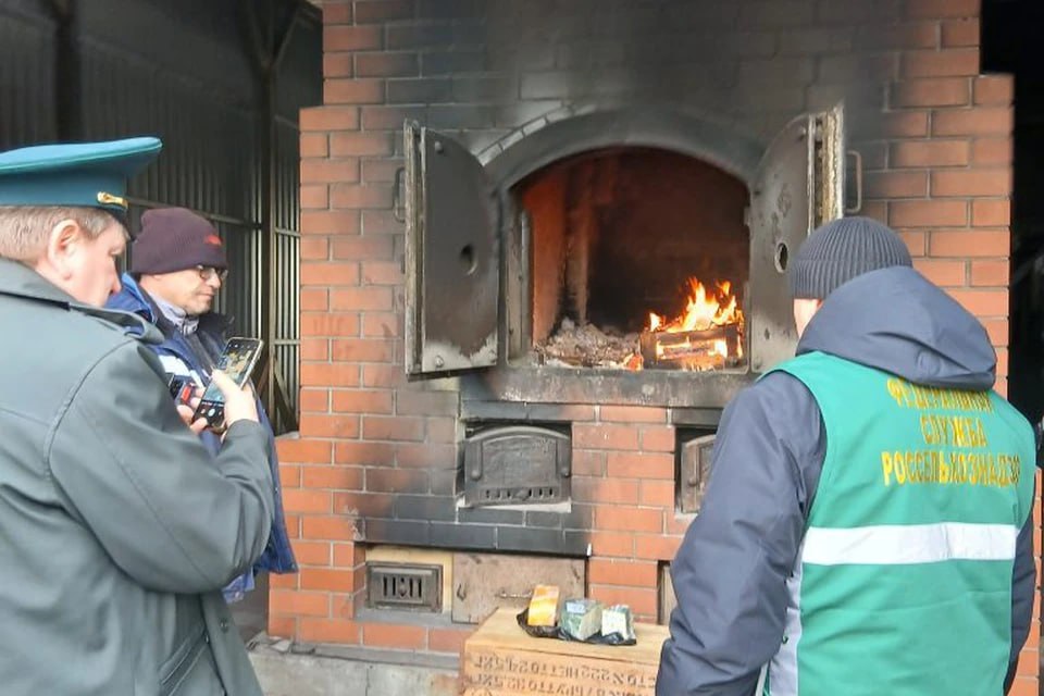 В Челябинской области уничтожили две партии сыра В топку отправились голубой сыр с плесенью Дорблю изготовленный в Германии а также сыр из Голландии Деликатесы обнаружили в торговом комплексе в Тракторозаводском районе Бросить их в печь решили из за того что президентский указ запрещает ввозить в Россию немецкие и голландские продукты   Подписаться на chelkp