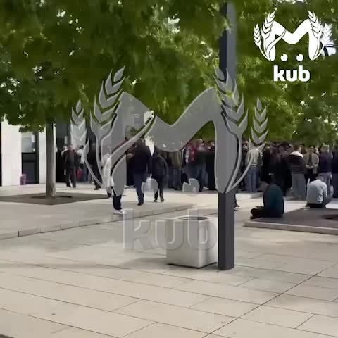 Болельщики «Краснодара» сталкиваются с трудностями при покупке билетов на матч с «Динамо»