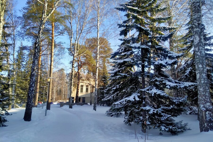 Дом памятник академика Лаврентьева в Академгородке отреставрируют за 30 миллионов Министерство культуры РФ объявило конкурс на реставрацию дома памятника академика Михаила Лаврентьева в новосибирском Академгородке Подрядная организация должна будет полностью восстановить кровлю фасад и чердачное пространство исторического здания Внутренние работы включают приведение в порядок интерьеров и знаменитой террасы грота Также предстоит монтаж нового электрооборудования и архитектурно художественной подсветки Подробнее читайте по ссылке     INFOPRO54 Фото Infopro54 автор Мария Гарифуллина