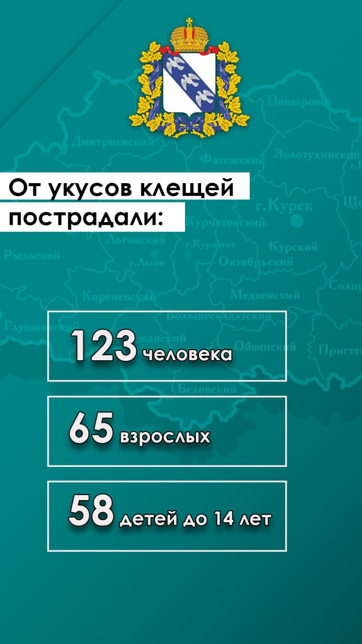 За прошедшую неделю отмечено увеличение обращений граждан к правительству Курской области на 13 %. Наиболее проблемными вопросами на данный момент остаются выдача жилищных сертификатов и выплаты за утраченное имущество.
