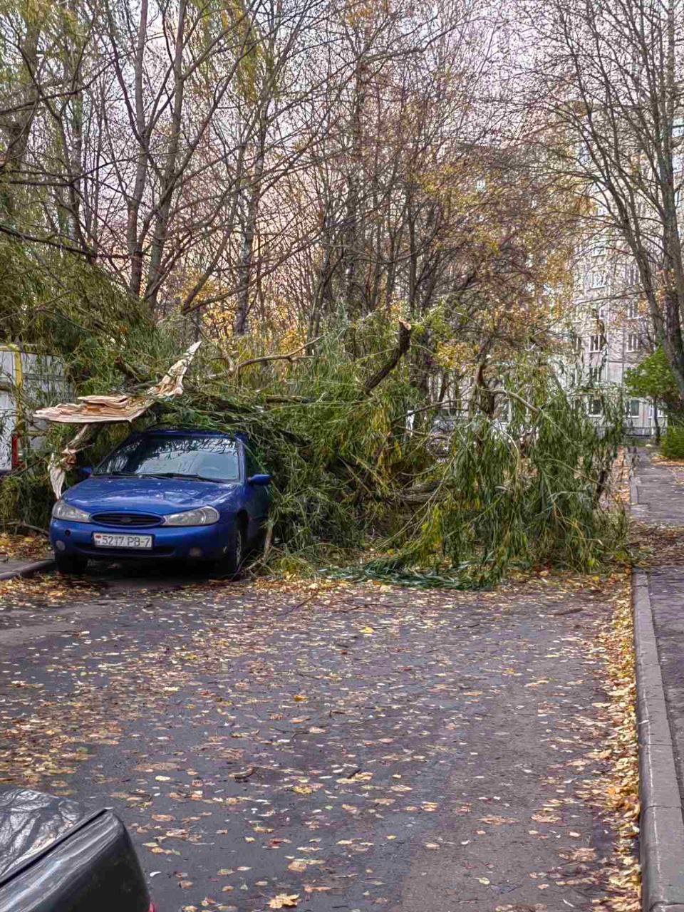 Из-за сильного порывистого ветра во дворах города случились обломы ветвей деревьев.  Во дворе дома по адресу: проспект Газеты «Звязда», 17, ветка дерева упала на припаркованный автомобиль.   Как сообщили подписчики, похожая ситуация произошла и в микрорайоне Запад-3, где дерево упало на авто и перекрыло проезд к жилым домам.  Фото от подписчиков   «Минск-Новости» MINSKNEWS.BY Telegram Viber FB  VK Inst TikTok  YouTube