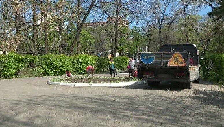 Областной центр преображается в преддверии летнего сезона: в городе начали высаживать цветы. Около 250 тысяч ярких однолетников и многолетников украсят столицу Приамурья в этом году, сообщает администрация. 21 мая ГСТК высаживают цветы на территории ЦЭВа. Вскоре растения украсят клумбы по всему городу.