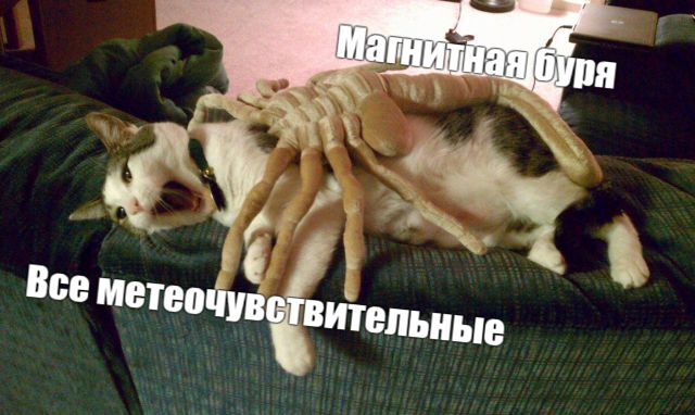 Магнитные бури снова наступают… Сегодня, 23 июля на Землю обрушится магнитная буря класса G1 максимум G5 . Как уточнили эксперты, ухудшение геомагнитной обстановки связано с корональной дырой — областью в солнечной короне с пониженной плотностью и температурой плазмы, которая сейчас находится на линии между Солнцем и Землёй. Кроме того, сохранятся возмущения магнитосферы Земли и в четверг, 24 июля. Но это еще не все печальные новости... По словам руководителя Лаборатории солнечной астрономии ИКИ РАН Сергея Богачёва, активность Солнца, достигшая пика в 2025 году, будет постепенно снижаться в течение ближайших 4-х лет, однако в этот период возможны неожиданные, очень сильные события, мощные вспышки и бури.